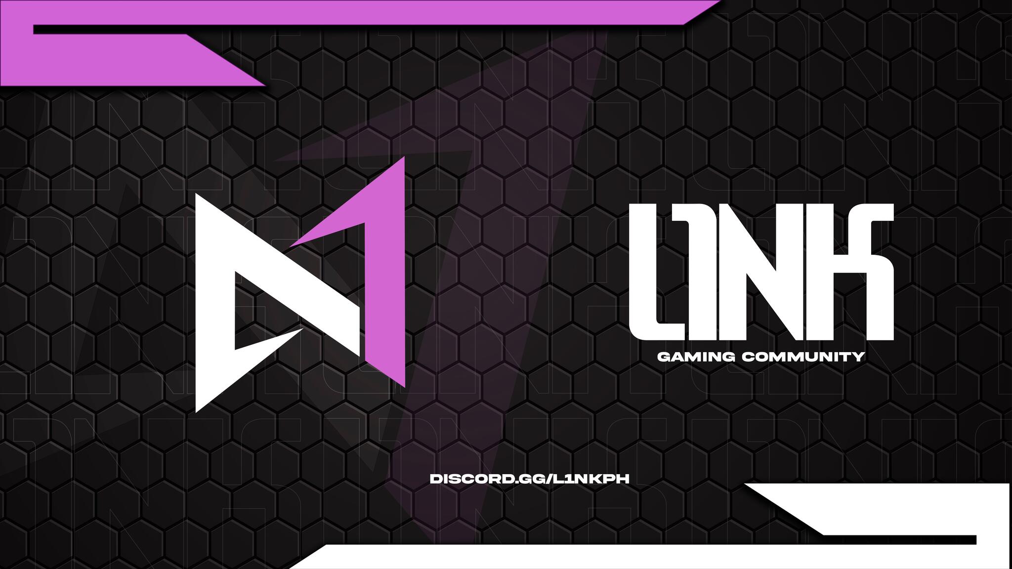 Discovery splash banner for L1NK Discord server