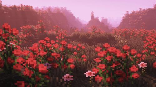 Discovery splash banner for ππππ π«π π³πΆπ³πΆπ¨πΉπ¨πππππ Discord server