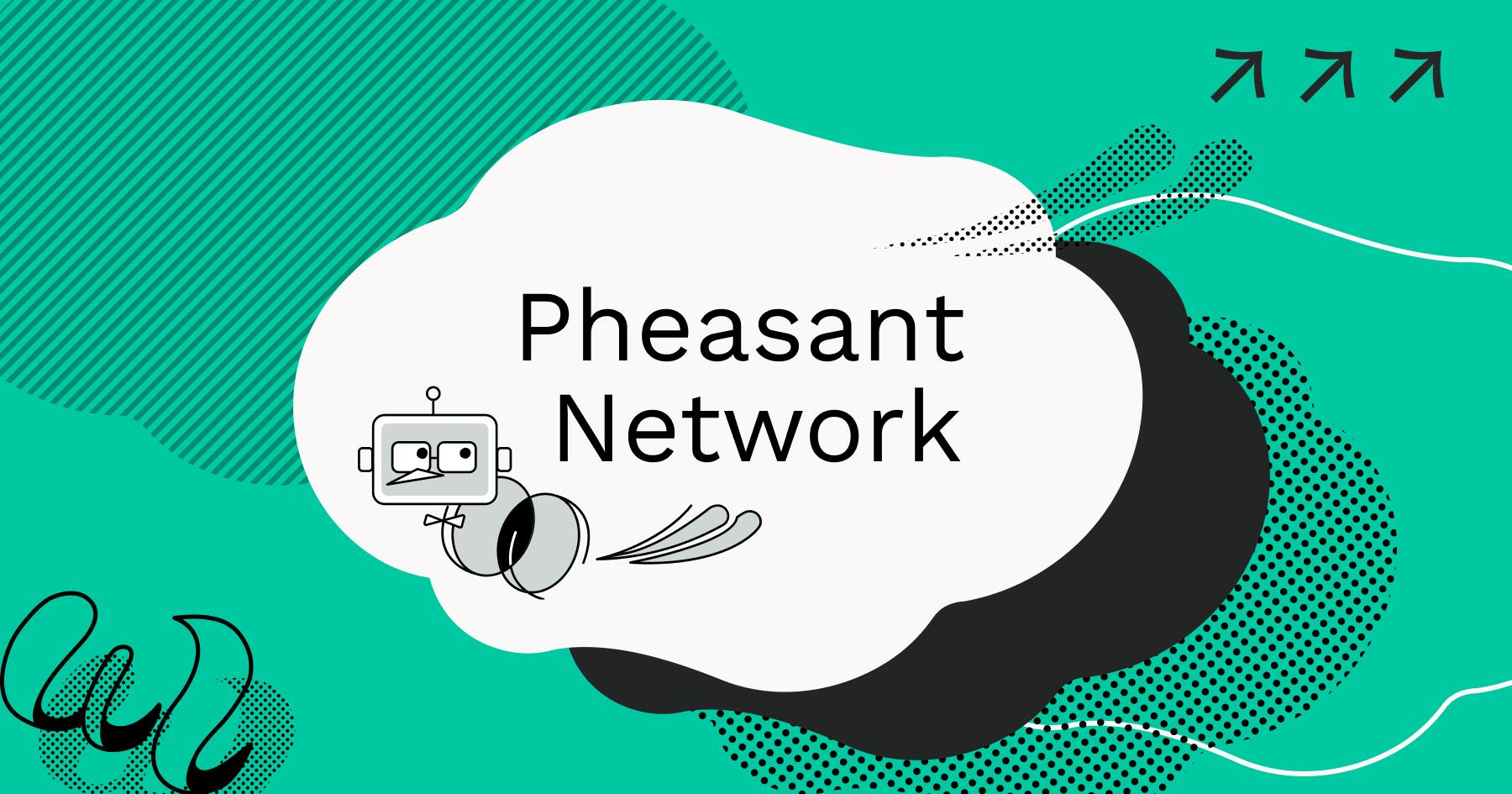 Discovery splash banner for Pheasant Network Discord server