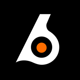Discovery icon for Birdeye Discord server