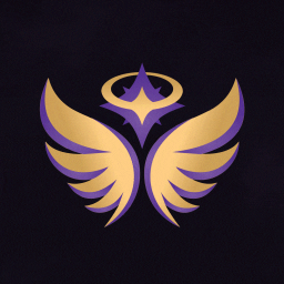 Discovery icon for DIVINE SKINS Discord server